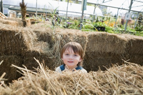 Caucasian boy standing near hay bales