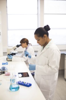 Mixed race scientists working in laboratory