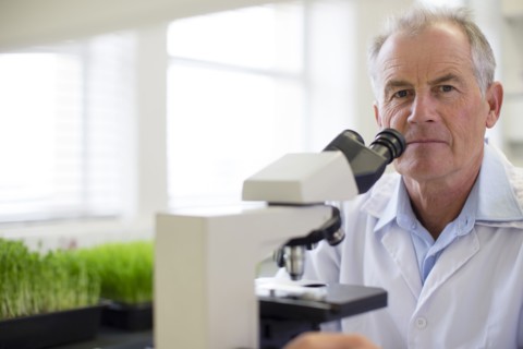 Caucasian scientist using microscope in laboratory