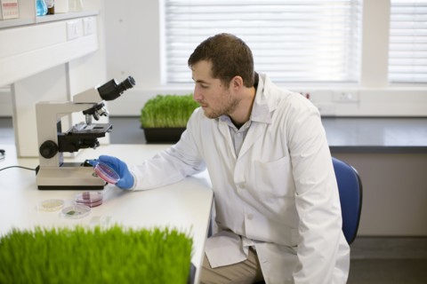 Caucasian scientist examining sample in laboratory