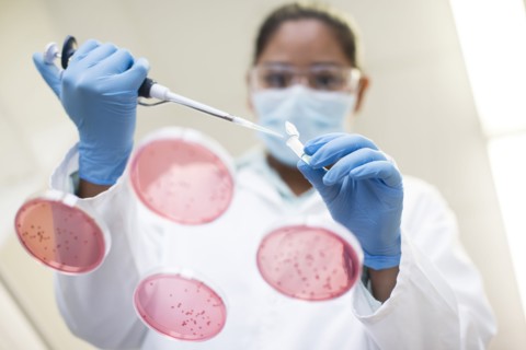 Mixed race scientist pipetting sample into test tube in laboratory