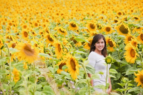 Hispanic woman standing in field of sunflowers