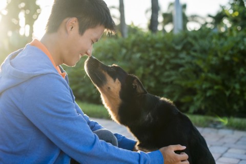 Korean man rubbing noses with dog