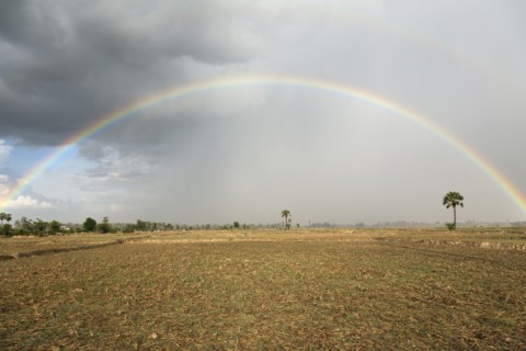 Rainbow over field