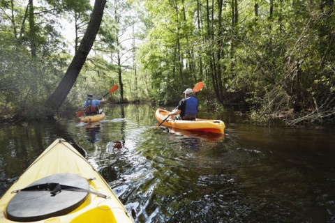 Caucasian men kayaking in jungle