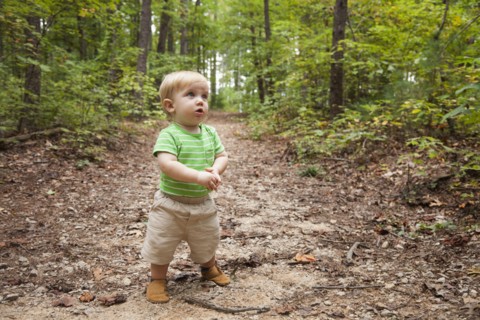 Caucasian toddler walking in forest