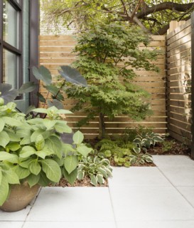 Landscaping and patio of modern condo building