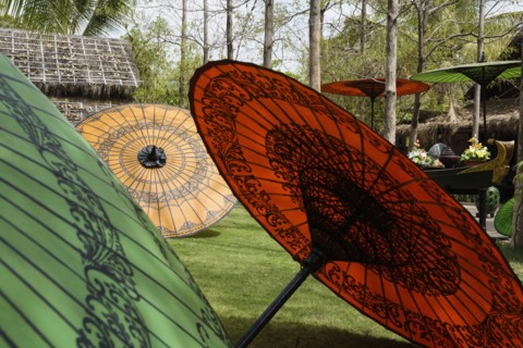Traditional parasols in backyard