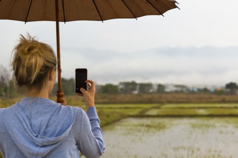 Caucasian woman photographing rural rice fields