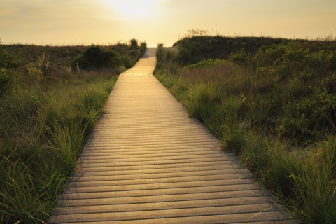 Wooden walkway to beach