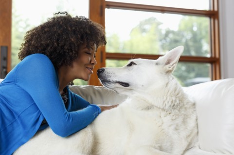 Smiling Black woman face to face with white dog on sofa