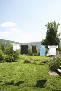 Clothesline in rural backyard