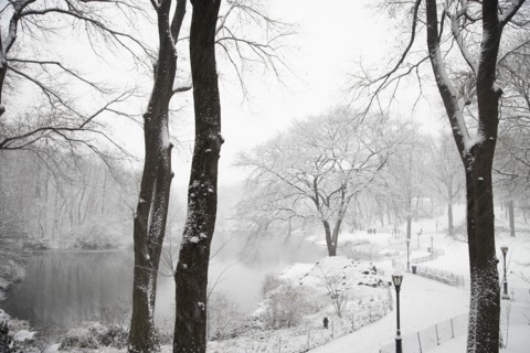 Lake in snowy urban park