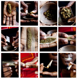 Black man rolling marijuana cigarette