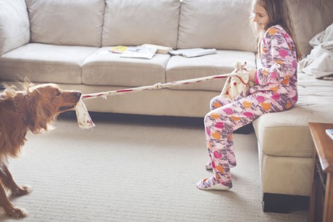 Caucasian girl playing with dog in living room