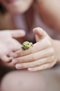 Caucasian girl playing with frog