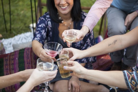 Friends toasting with champagne at picnic in park