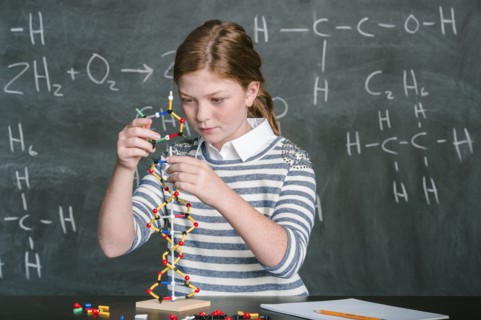 Caucasian student examining molecular model in science class