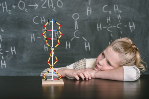 Caucasian student examining molecular model in science class