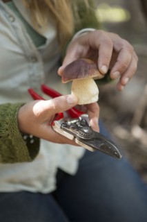 Close up of woman examining mushroom