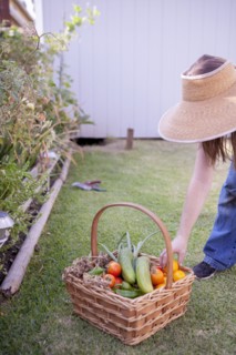 Mixed race farmer gathering vegetables in garden