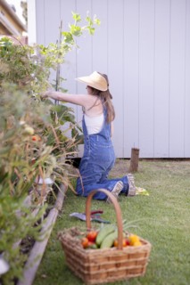 Mixed race farmer gathering vegetables in garden