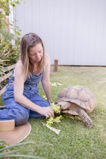 Mixed race farmer feeding tortoise in garden