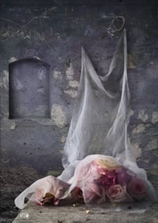 Bouquets of flowers under sheer curtain near dilapidated wall