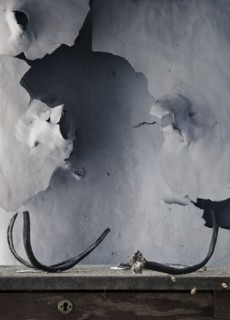 Peeling paint and antlers near dilapidated wall