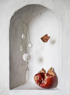 Pomegranate and decorations near moth in wall alcove