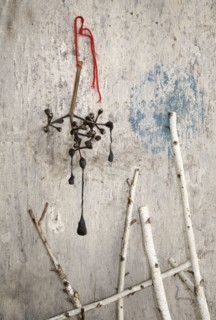 Branches hanging from dilapidated wall