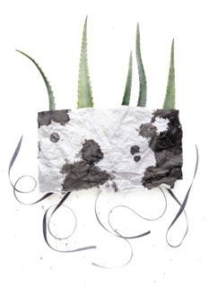 Watercolor napkin over plant leaves
