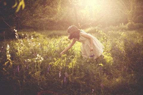 Girl picking flowers in rural field