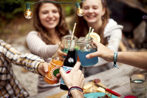 Friends toasting with soda at picnic table