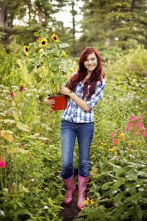 Gardener carrying sunflower plant in field