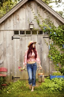 Gardener picking flowers in garden