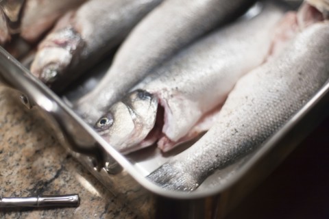 Close up of fresh fish in baking dish