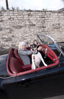 Older woman driving convertible with dog
