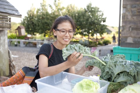 Woman shopping for greens at farmers market