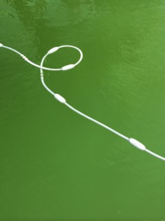 High angle view of buoy cord in lake