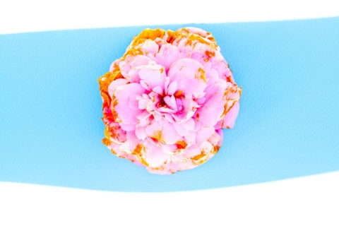 Close up of wilting flower petals