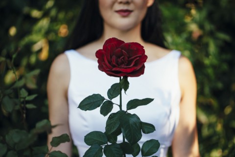 Korean bride smiling behind red rose
