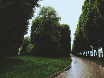Rainy path in urban park
