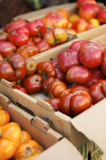 Crates of varieties of fresh tomatoes