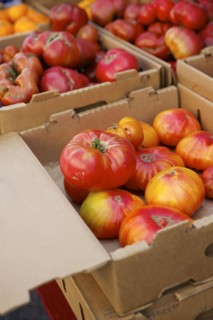 Crates of varieties of fresh tomatoes