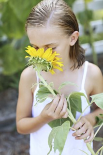 Close up of girl smelling sunflower outdoors
