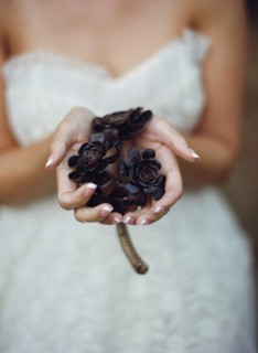 Close up of bride holding flowers