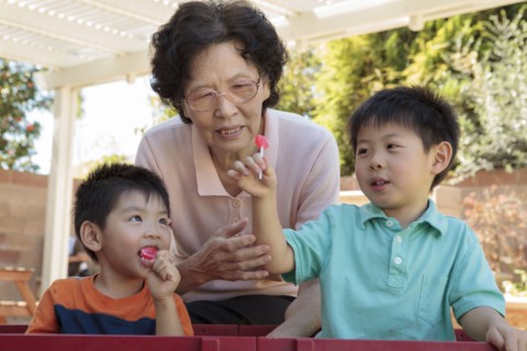 Asian woman and grandsons relaxing in backyard