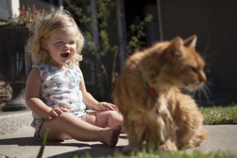 Laughing girl admiring cat in backyard