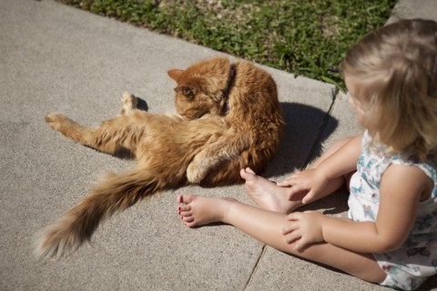 High angle view of girl watching cat in backyard